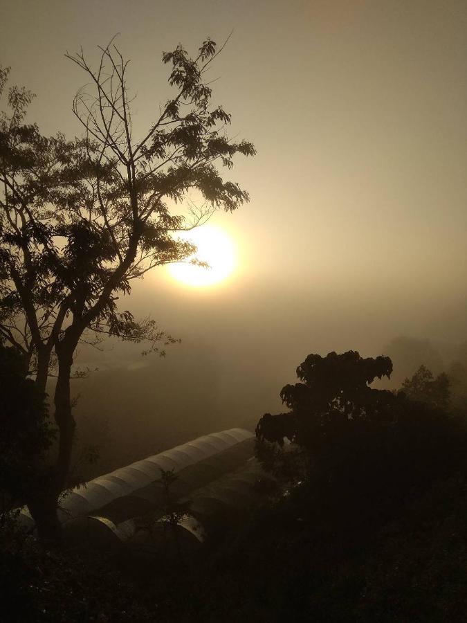 Tuyet Hoa Hon Bo Homestay Далат Екстер'єр фото